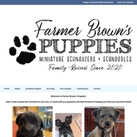 Image of website Farmer Browns Puppies