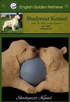 Image of website Shadymist Kennel LLC