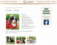 Image of website Greenbrier Homestead Puppies