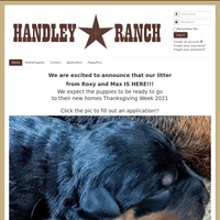 Image of website Handley Ranch