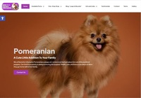Image of website Burnettes Exclusive Pomeranians