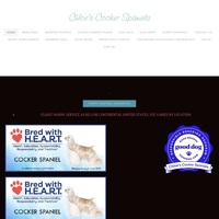 Image of website AKC REGISTERED AMERICAN COCKER SPANIEL PUPPIES