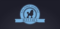 Image of website Bluetails Puppies