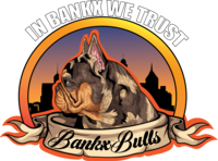 Image of website BankxBulls