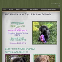 Image of website Silver Labrador of Southern California