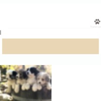 Image of website MALTICHON