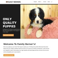 Image of website Beautiful AKC Bernese Puppies in Westcliffe CO