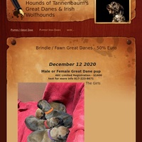Image of website Hounds of Tannenbaum