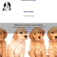 Image of website Harmony View Puppies