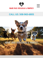 Image of website Roark Pack Chihuahuas and Pomskys