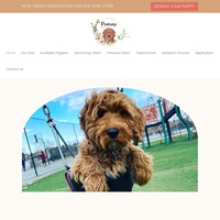 Image of website Primrose Australian Labradoodles