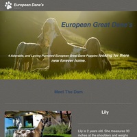 Image of website EurDanes