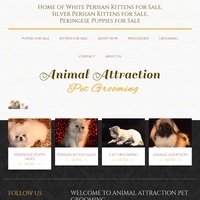 Image of website Pekingese for Sale in Texas