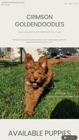 Image of website California Goldendoodle Breeder