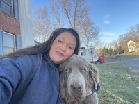Image of website Patriot Newfoundlands