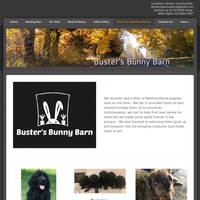 Image of website Busters Bunny Barn