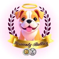 Image of website Heavenly Bulliez