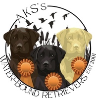 Image of website AKSs Water Bound Retrievers