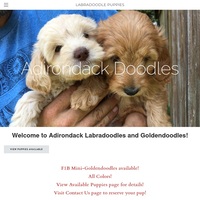 Image of website Adirondack Doodles
