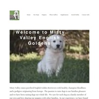 Image of website Misty Valley Goldens