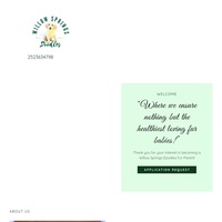 Image of website Willow Springs Doodles