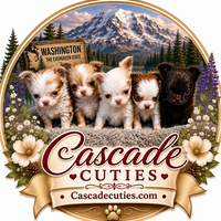 Image of website Cascade cuties