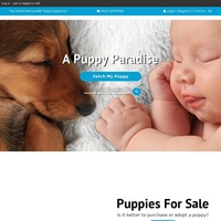 Image of website VIP Puppies