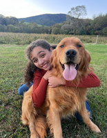 Image of website Harkey Farm Retrievers