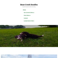 Image of website Bean Creek Doodles