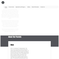 Image of website Ninos Goldendoodles