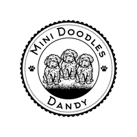 Image of website Mini Goldendoodle and Mini Sheepadoodle Breeder