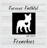 Image of website Furever Faithful Frenchies