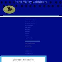 Image of website Pond Valley Labradors