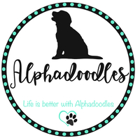 Image of website Alphadoodlepupscom