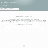 Image of website Lil Promised Land AKC Chihuahuas