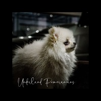 Image of website Underland Pomeranians