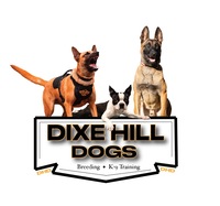 Image of website Dixe Hill Dogs