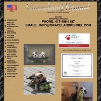 Image of website Graceland Kennel Specializing in English Bulldogs