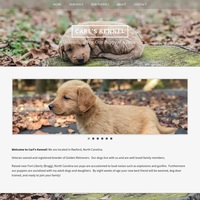 Image of website Golden Retrievers by Carls Kennel