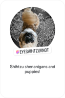 Image of website eyeshihtzuknot