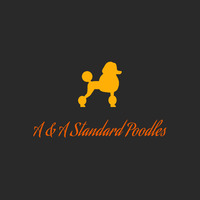 Image of website A and A Pinedale Standard Poodles