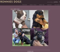 Image of website Ronnies Dogs in Los Angeles