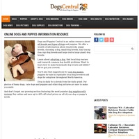Image of website Dogs amp Puppies Central