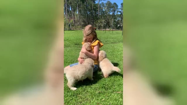 Video preview image #1  Breeder Profile in STELLA, NC, USA