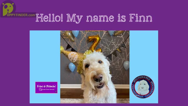 Video preview image #1  Breeder Profile in CLEVELAND, OH, USA