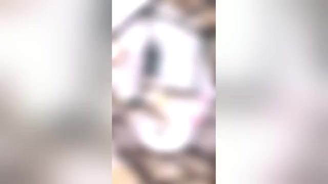 Video preview image #4  Breeder Profile in JACKSON, OH, USA