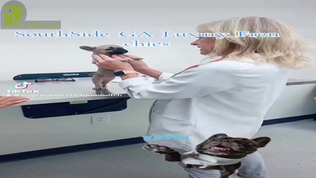 Video preview image #3  Breeder Profile in MCDONOUGH, GA, USA