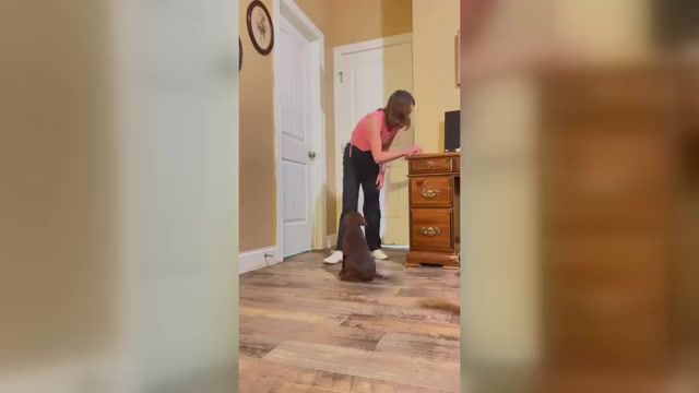 Video preview image #9  Breeder Profile in WESTFIELD, NC, USA