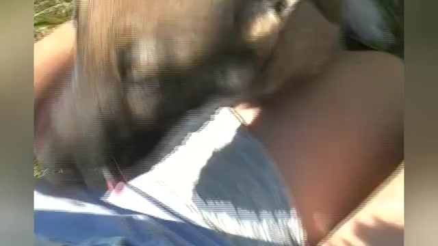 Video preview image #1 German Shepherd Dog Puppy For Sale in PIEDMONT, MO, USA