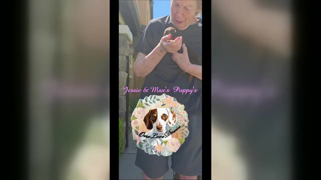 Video preview image #1  Breeder Profile in HAWTHORNE, CA, USA